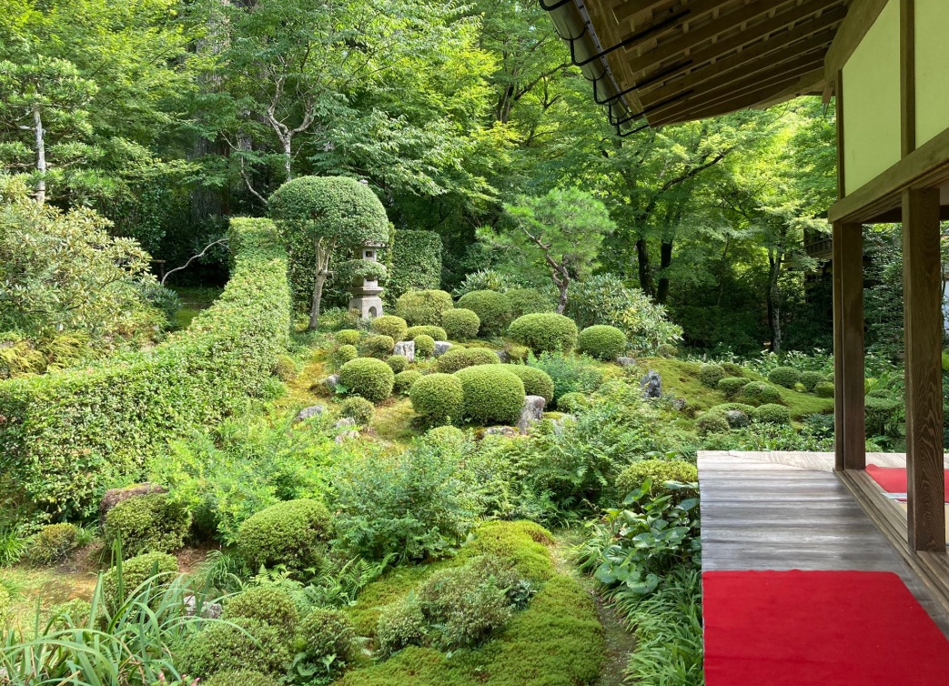 大原三千院　苔庭